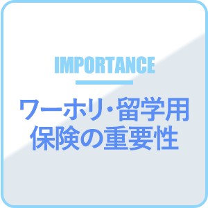 ワーホリ・留学用保険の重要性